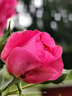 IMG20250616171127~2.jpg