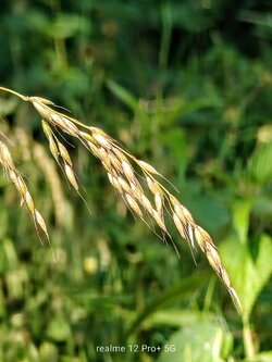 IMG20250616163116~2.jpg