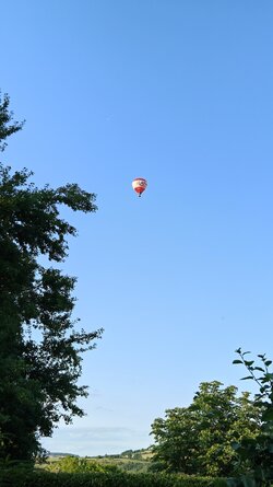 1000069966.jpg