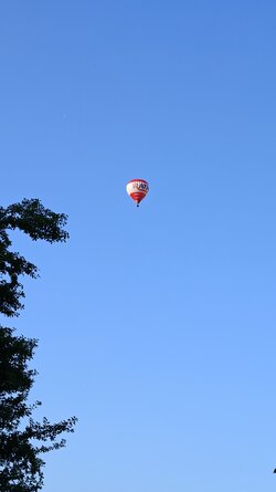 1000069968.jpg