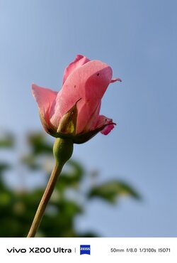 IMG_20250616_175901.jpeg