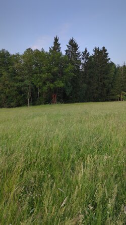 IMG_20250616_211604.jpg