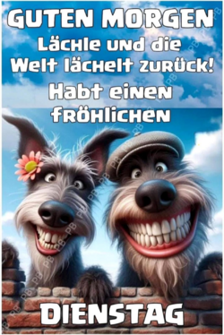 1000115434.png