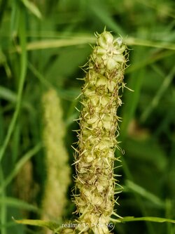 IMG20250617200959~2.jpg