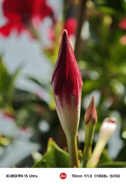 IMG_20250617_211742.jpg