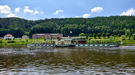 IMG_20250617_124428.jpg