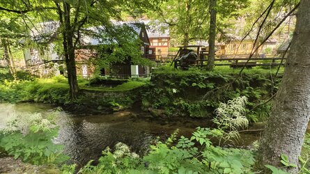 IMG_20250617_143631.jpg