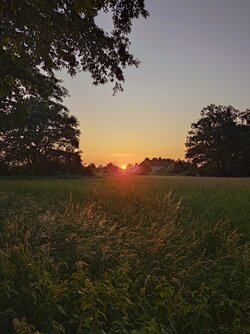 20250616_213647.JPG