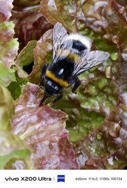IMG_20250617_200126.jpeg
