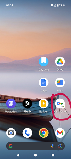 Pixel 9Pro XL.png