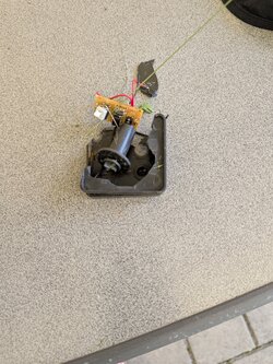 PXL_20250618_095320715.jpg
