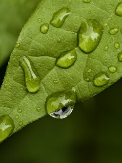 IMG_20250608_080028.jpg