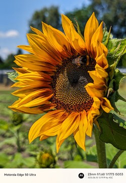 Gcam20250618_131919100.jpg