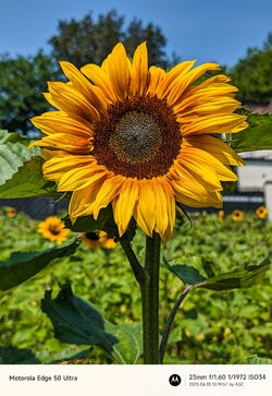 Gcam20250618_131957466.jpg