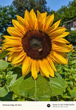 Gcam20250618_132035106.jpg