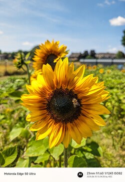 Gcam20250618_132428341.jpg