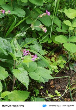 IMG_20250618_144627.jpg