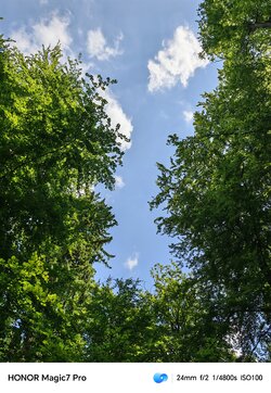 IMG_20250618_150322.jpg