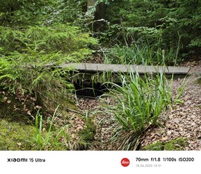 Brücke Xiaomi 3x.jpg