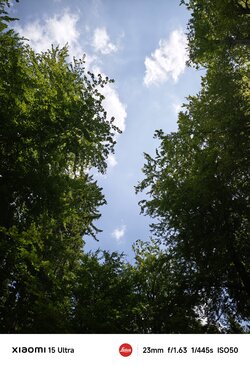 IMG_20250618_174828.jpg
