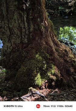 IMG_20250618_175926.jpg