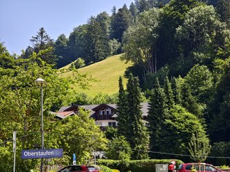 1000390679.jpg