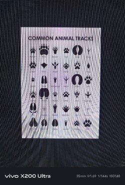 1000004633.jpg