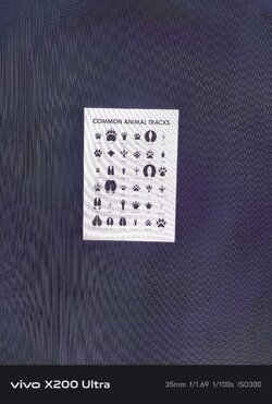 1000004632.jpg