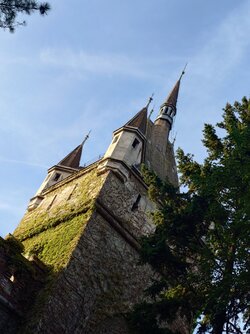 20240903_175320 (1).JPG