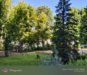 IMG_20250619_084718.jpg