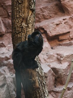 IMG20250619104911.jpg