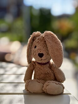 IMG_20250619_083308.jpg