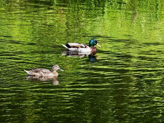 IMG_20250619_102619.jpg
