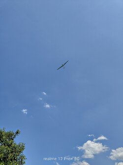 IMG20250619151601~2.jpg