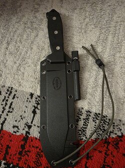 20250619_170913.jpg