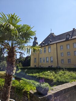 Gcam2 20250619_143143617.jpg