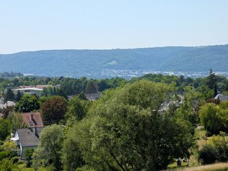 PXL_20250619_131410502.jpg