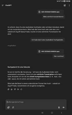 Screenshot_20250620_005811_ChatGPT.jpg