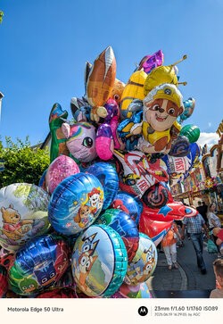 Gcam20250619_162905523.jpg