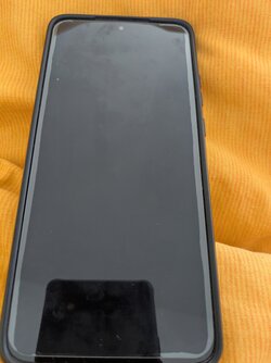 PXL_20250620_080413740.MP.jpg