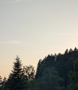 PXL_20250620_182935872.jpg
