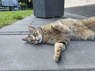 20250620_200913.jpg