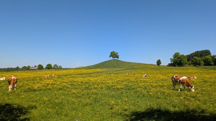 2025-05-13 (1).jpg