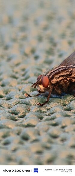 IMG_20250621_161910.jpg