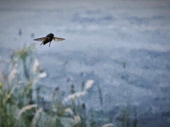 IMG_20250621_192345.jpg