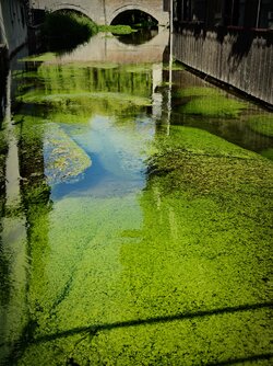 IMG_20250621_194255.jpg