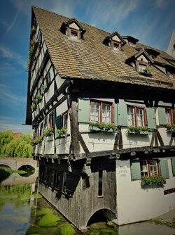IMG_20250621_194158.jpg