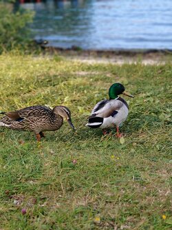 IMG20250621184441~2.jpg