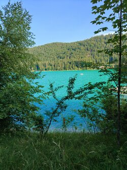 IMG20250621174804~2.jpg