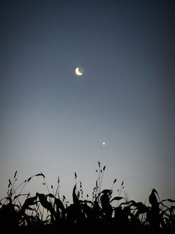 IMG_20250622_042617.jpg